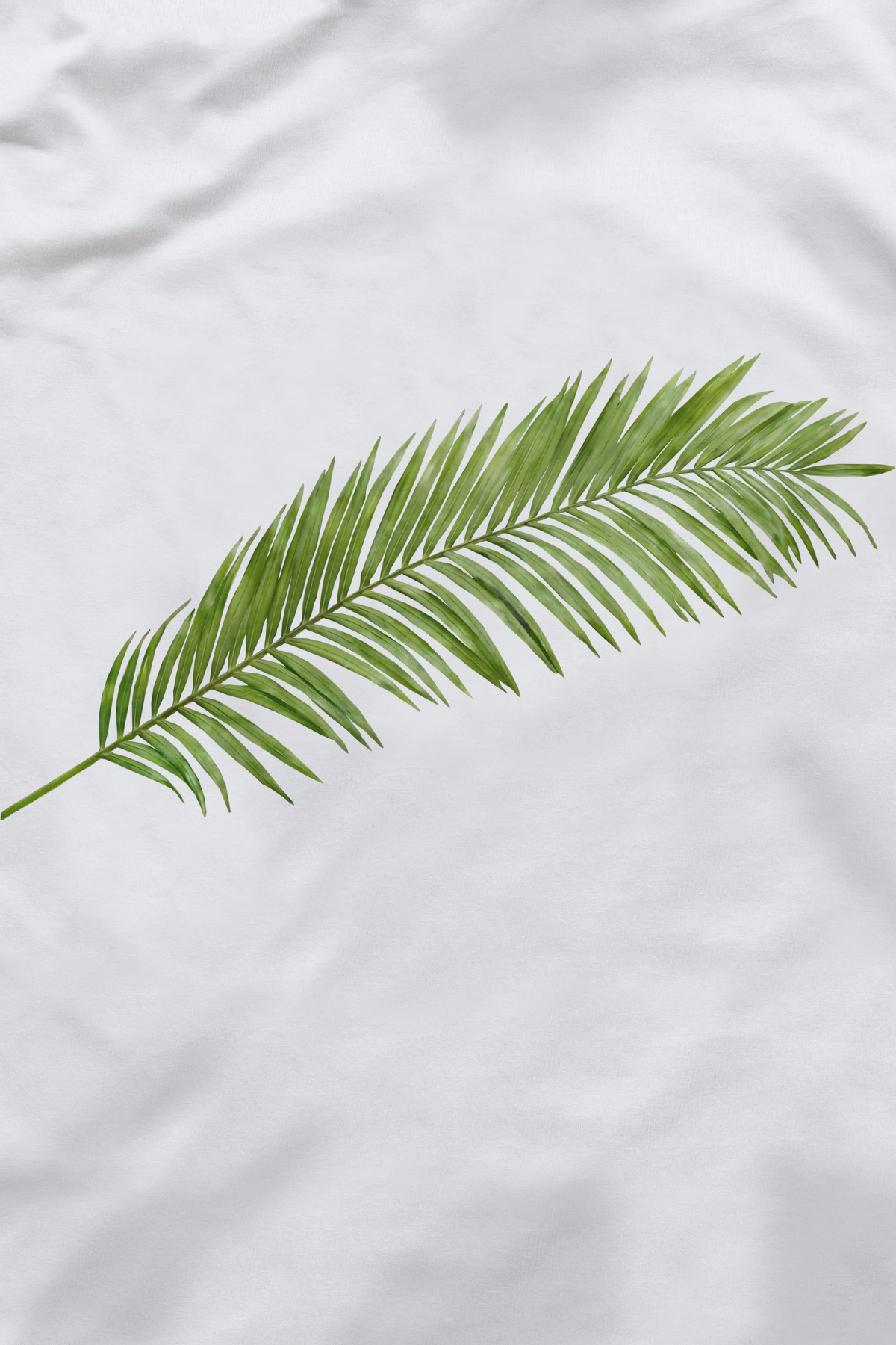 Camiseta Hosana